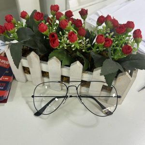 Óculos e Lentes (8)